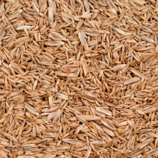 thumbnail image 2 of Organic Granular Compost & Seed - 20kg Lawn Top Dressing With 3-Way Grass Blend 2 of 14